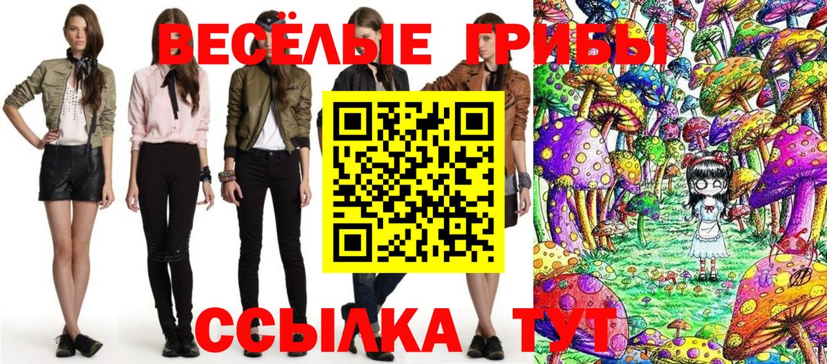 Псилоцибиновые грибы мицелий Алушта