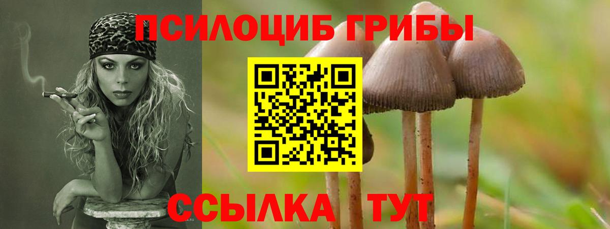Алушта  Псилоцибиновые грибы мухоморы  Вход с VPN  Галлюциногенные грибы Psilocybe 